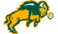 NDSU Bison