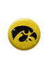 Iowa Hawkeyes Glitter Magnets